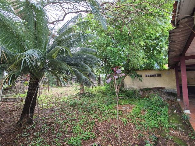 #ED0123 - Edícula para Venda em Caraguatatuba - SP