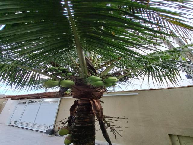 #CA0137 - Casa para Venda em Caraguatatuba - SP